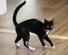 Judy - Photo 2