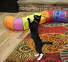 Judy - Photo 3