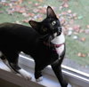 Judy - Photo 5