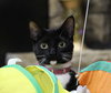 Judy - Photo 6