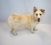 Shellie - Photo 2