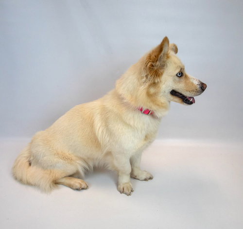 Shellie photo 3
