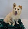 Shellie - Photo 6