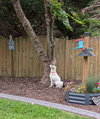 Agnes - Photo 3