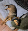 Doc - Photo 7