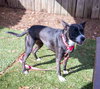 Cecelia - Photo 3