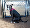 Cecelia - Photo 5