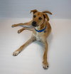 Paxton - Photo 2