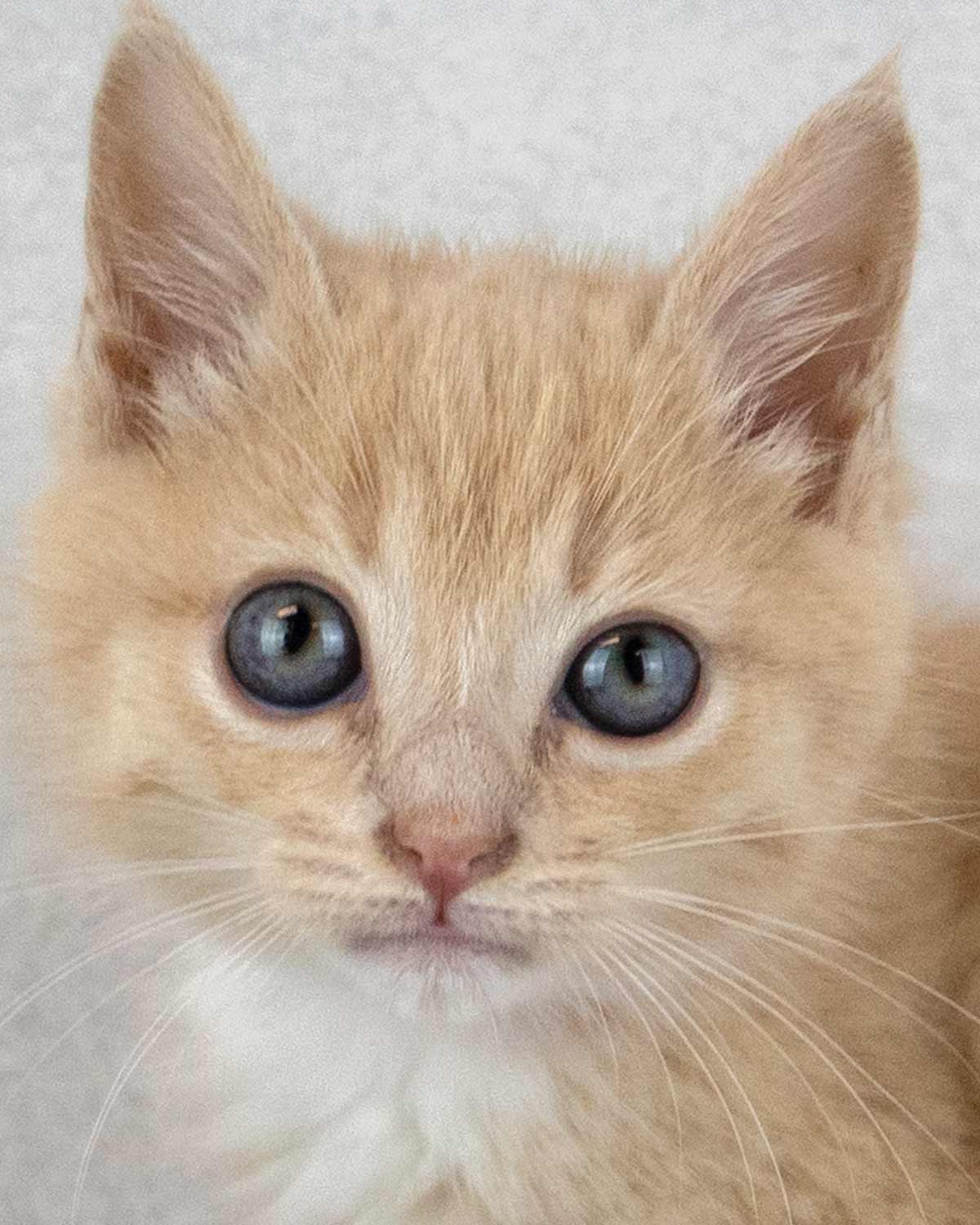Jackie
