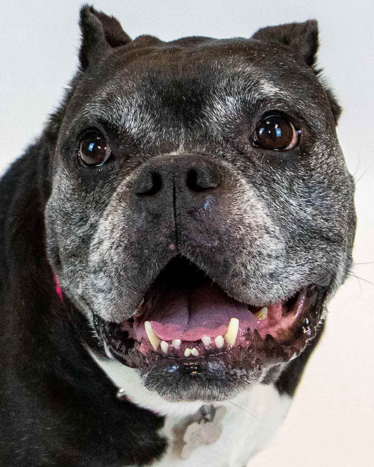 Minnie