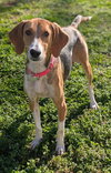 Elana - Photo 4