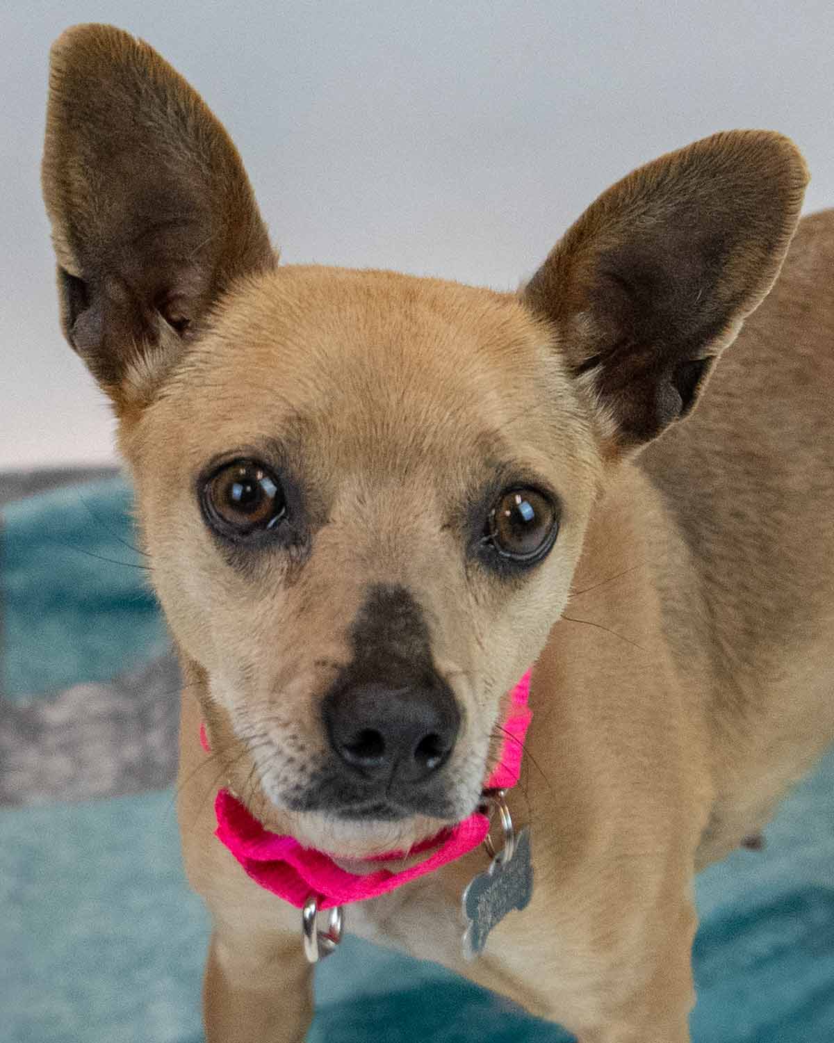 Wynnie