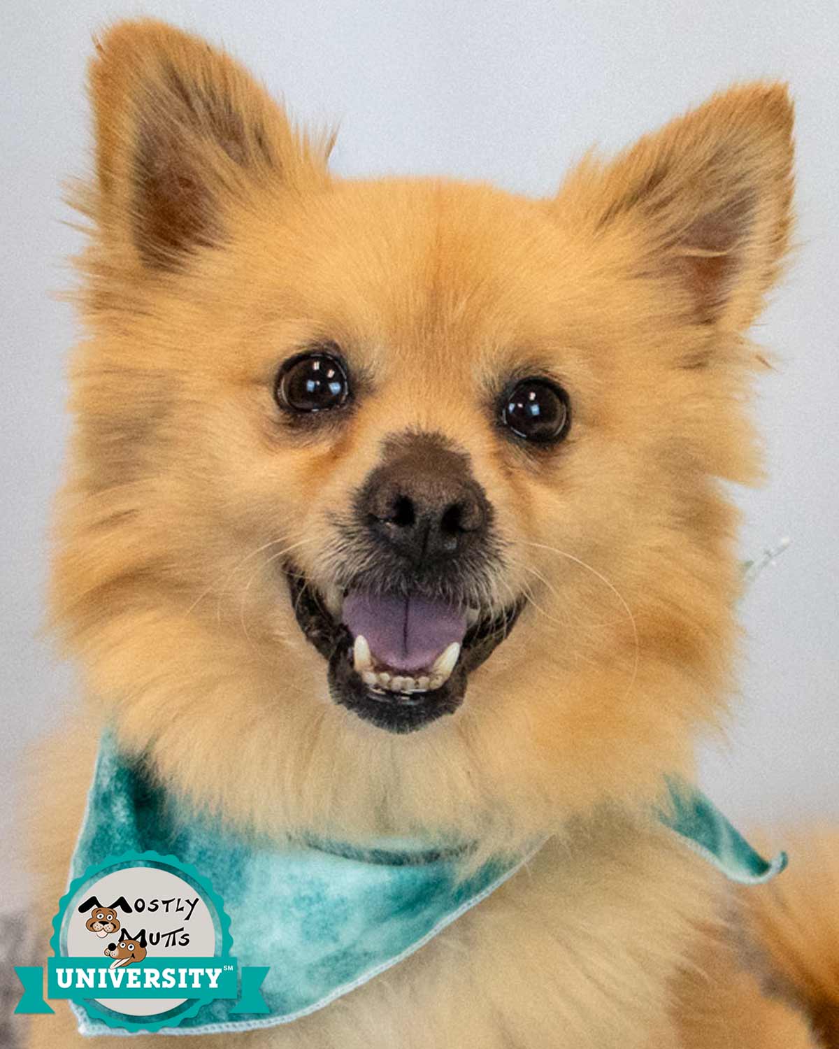 Darwin