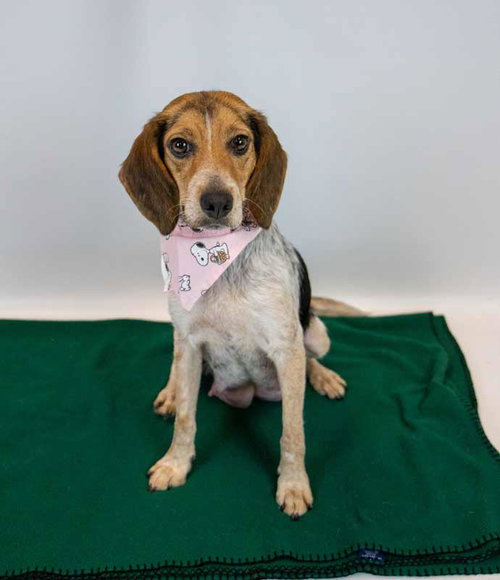 Maybelle photo 2
