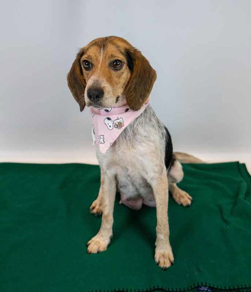 Maybelle photo 5