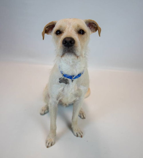 Photo 6 of Butters