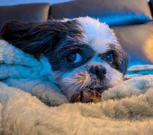 Photo 4 of Edna