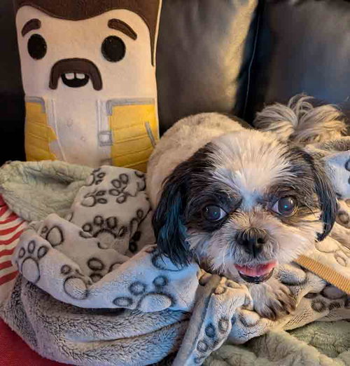 Photo 5 of Edna