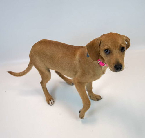 Photo 3 of Marsha