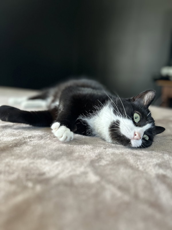 Mel