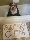 Marley - Photo 3
