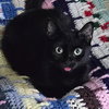 Philomena - Photo 2