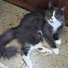 Mandee - Photo 2