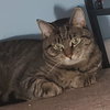 Kandi & Kane - Bonded Pair - Photo 2