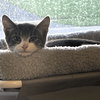 Chance - Photo 3