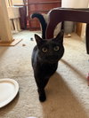 Ms. Onyx - Photo 4