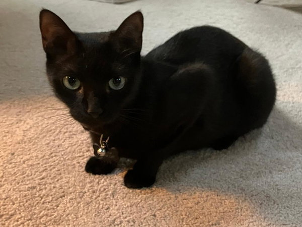 Luna