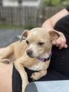 Clementine - Photo 3