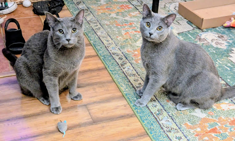 Cecil & Eli Image