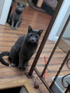 Cecil & Eli - Photo 3