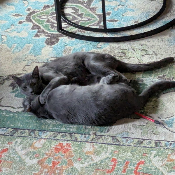 Cecil & Eli