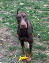 Arthur - Photo 2