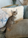Belle - Photo 1