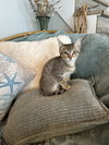 Belle - Photo 3