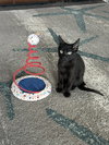 Shadow - Photo 1