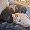 Smokey - Photo 2