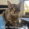 Ol' No Name - Photo 1