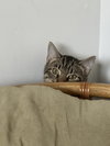 Ol' No Name - Photo 2