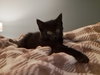 Misty - Photo 4