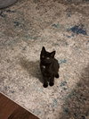 Mabel - Photo 2