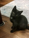 Mabel - Photo 3