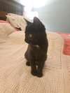 Mabel - Photo 4