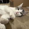Roo - Photo 2