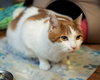 William - Photo 2