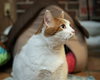 William - Photo 3