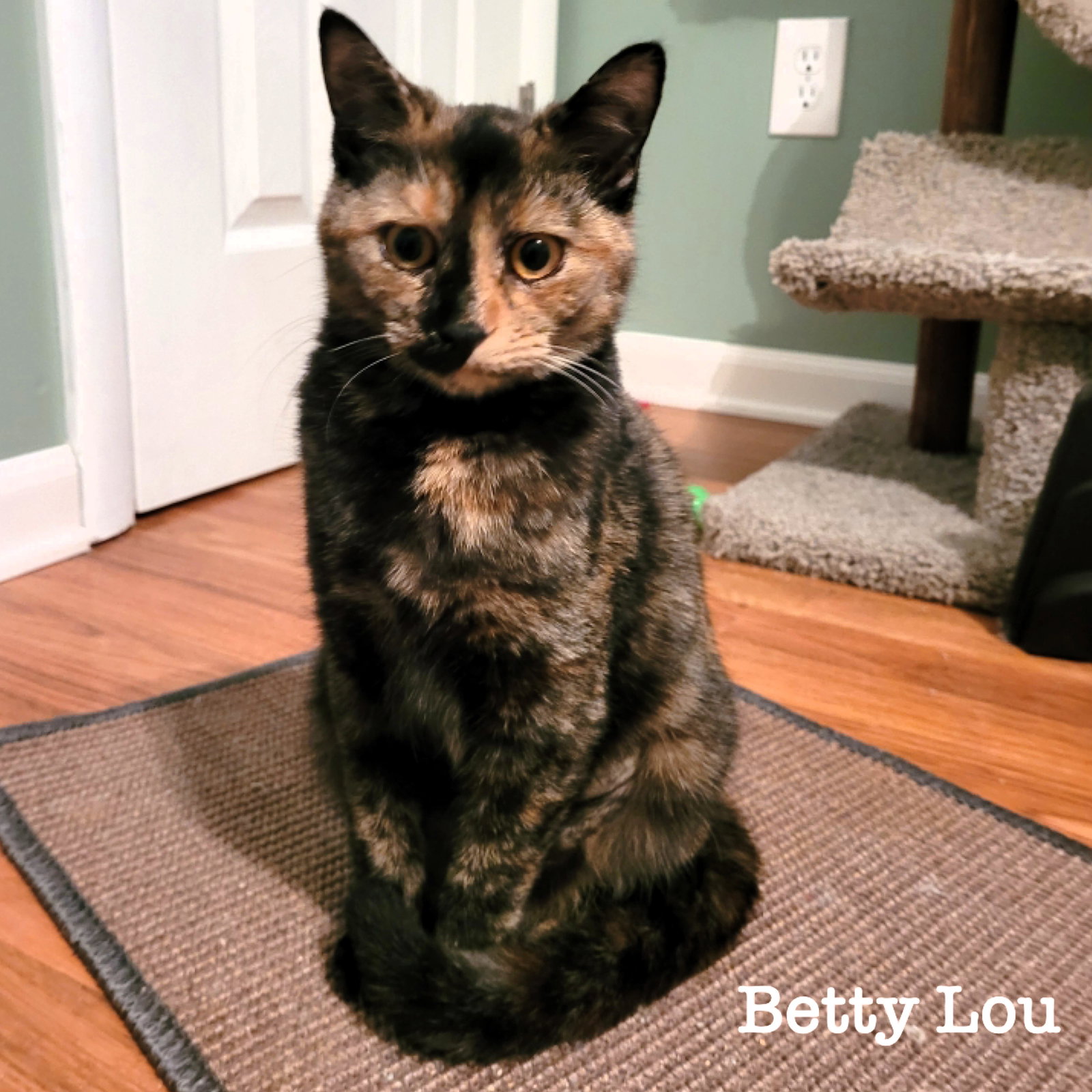 Betty Lou Image